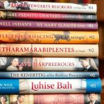 Stack of colorful historical fiction novels in a nook.