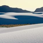 Photo "American Beauty"