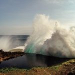 Photo Action-packed hilarity